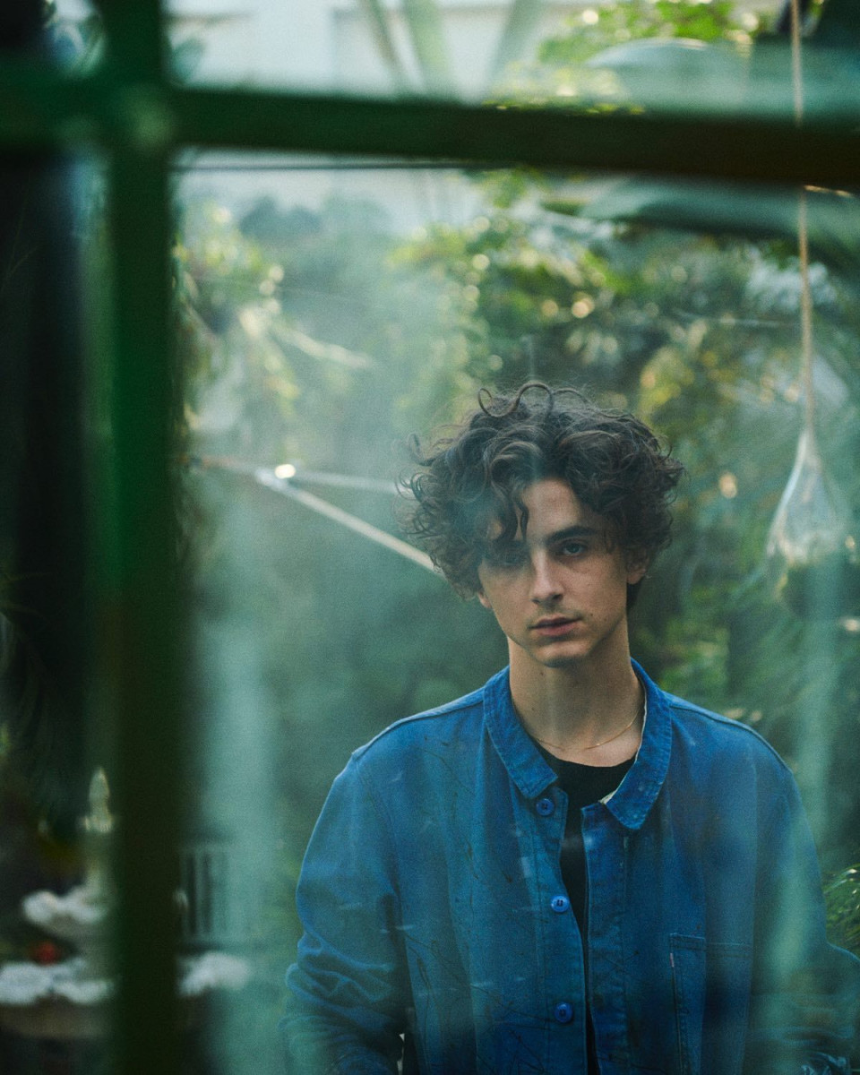 Timothee Chalamet: pic #1329620