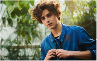 Timothee Chalamet photo #