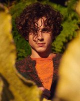 Timothee Chalamet photo #