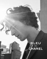 Timothee Chalamet photo #
