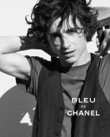 Timothee Chalamet photo #