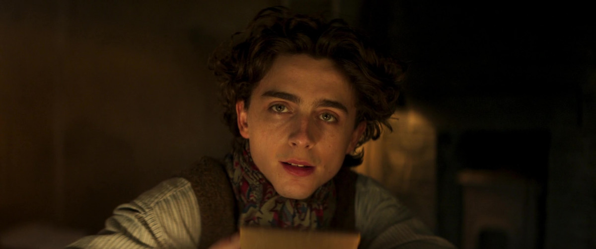 Timothee Chalamet: pic #1351245