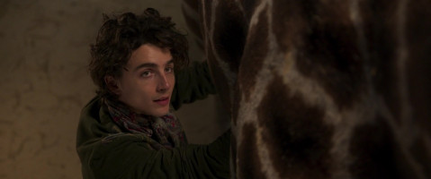 Timothee Chalamet photo #