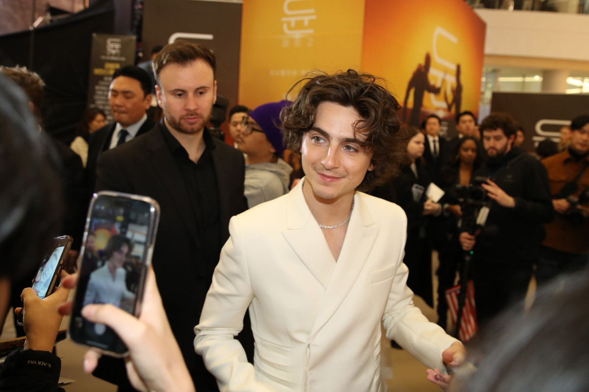 Timothee Chalamet: pic #1347049