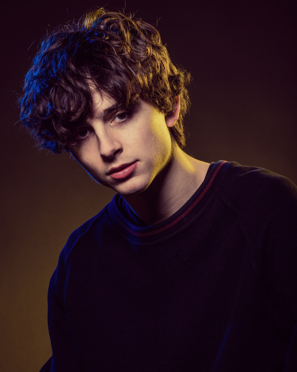 Timothee Chalamet: pic #1309755