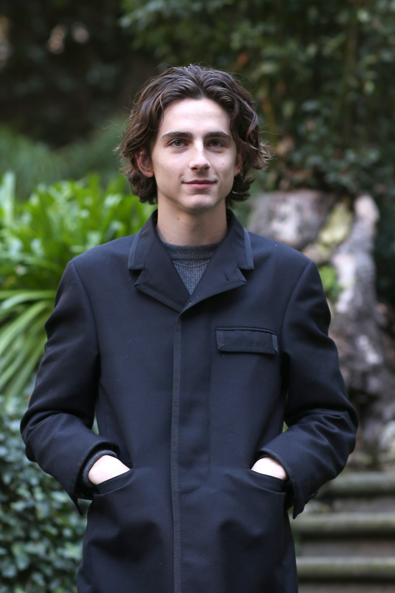 Timothee Chalamet: pic #1279485