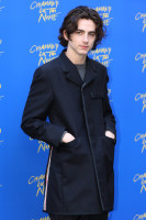 Timothee Chalamet photo #