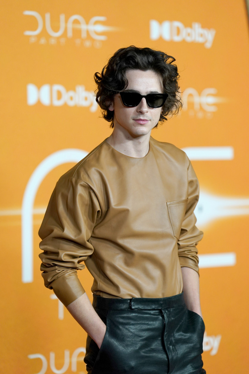 Timothee Chalamet: pic #1347444