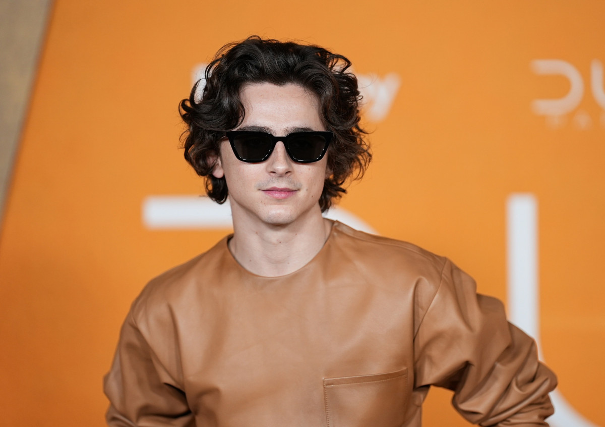 Timothee Chalamet: pic #1353716