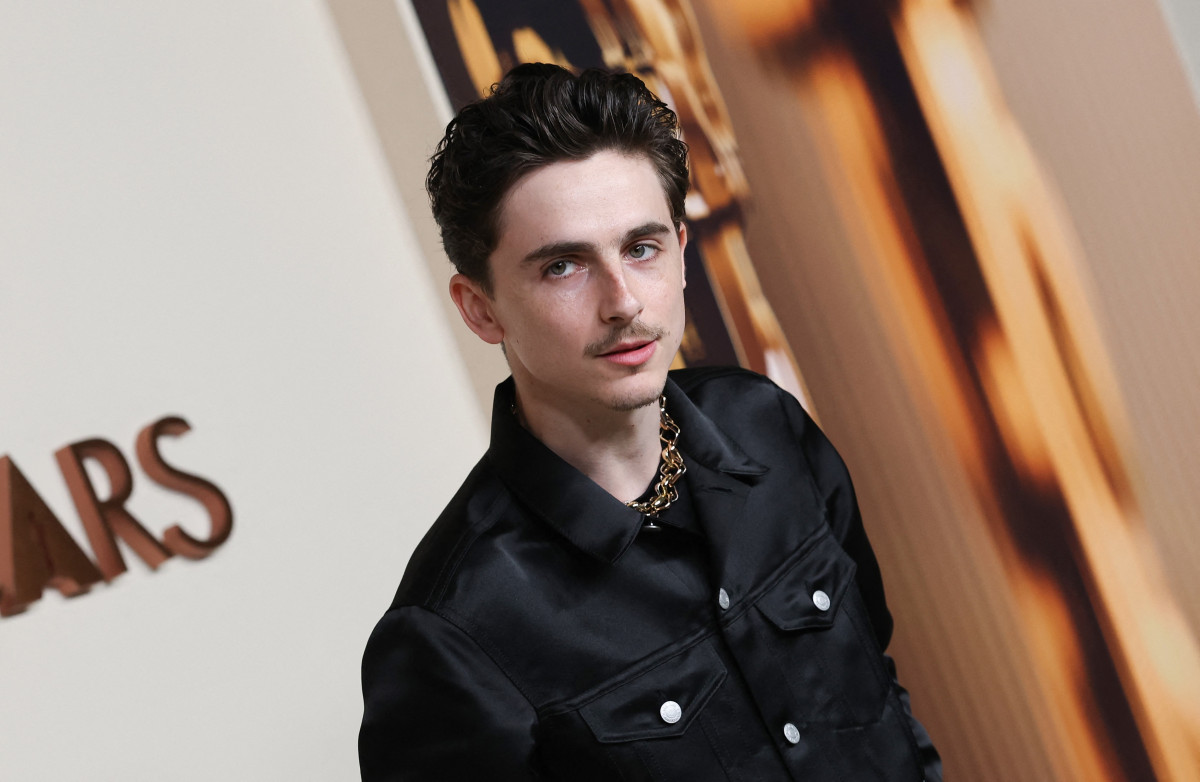 Timothee Chalamet: pic #1369792