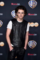 Timothee Chalamet photo #