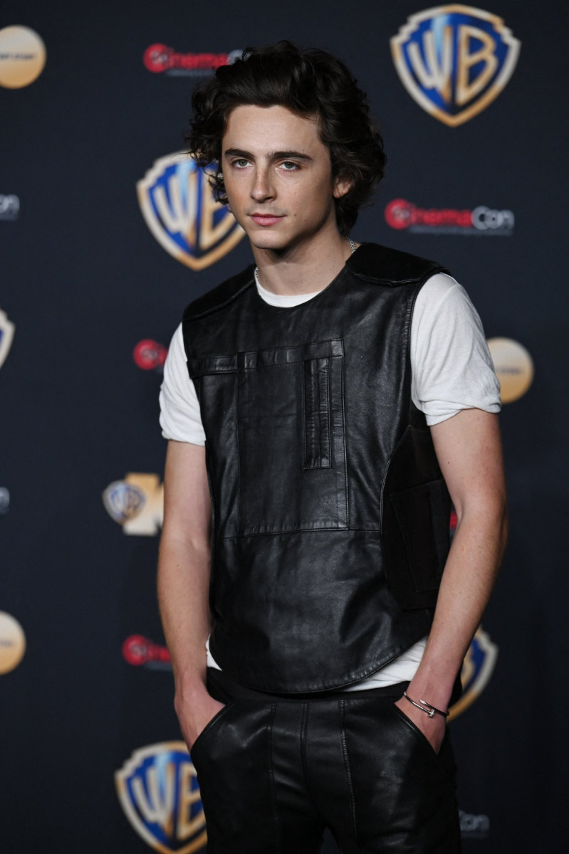 Timothee Chalamet: pic #1327548