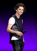 Timothee Chalamet photo #