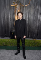 Timothee Chalamet photo #