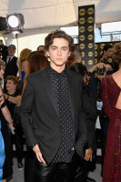 Timothee Chalamet photo #