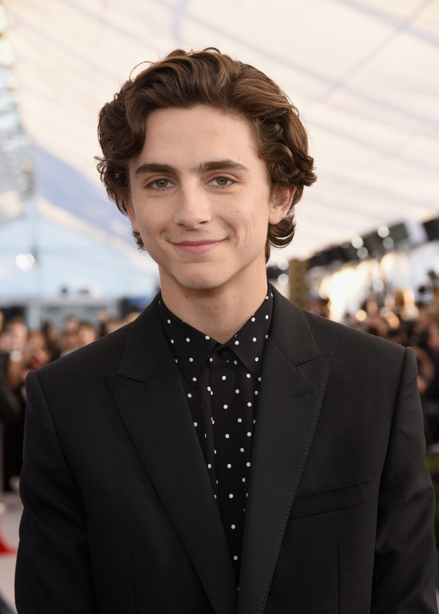 Timothee Chalamet: pic #1312482