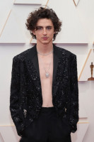 Timothee Chalamet photo #