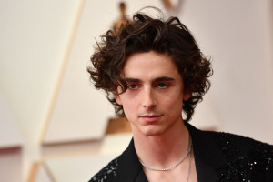 Timothee Chalamet photo #