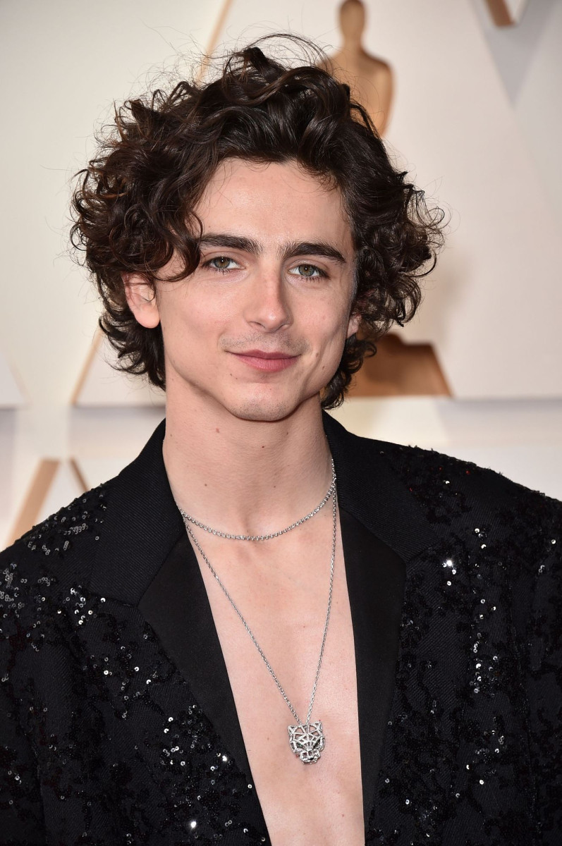 Timothee Chalamet: pic #1328753