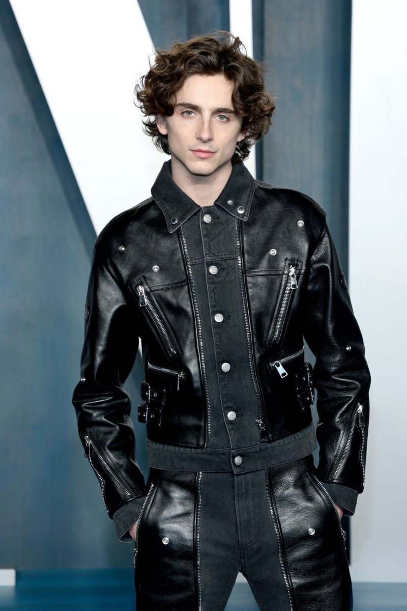 Timothee Chalamet: pic #1322875
