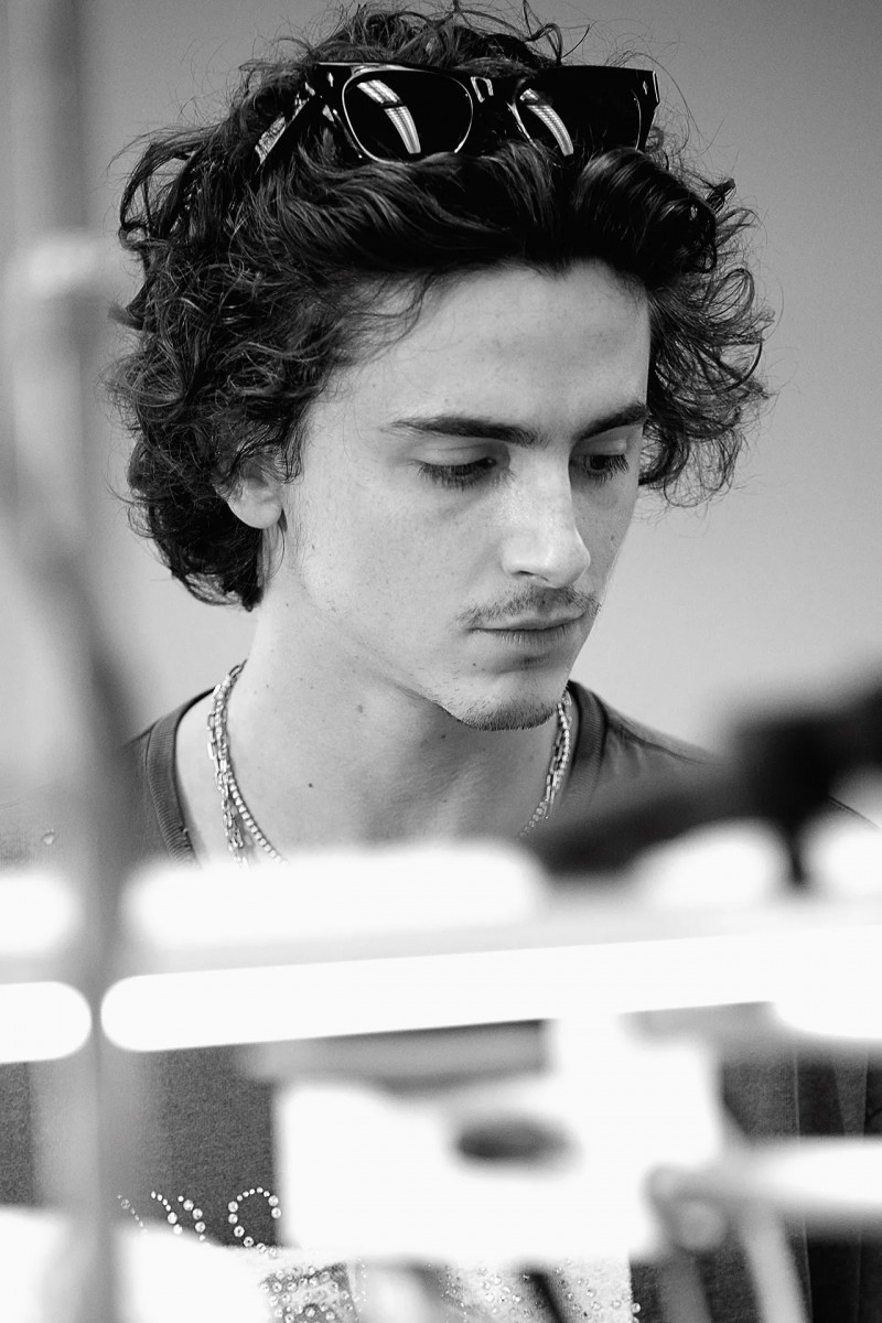 Timothee Chalamet: pic #1341499