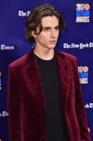 Timothee Chalamet photo #