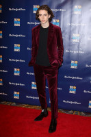 Timothee Chalamet photo #