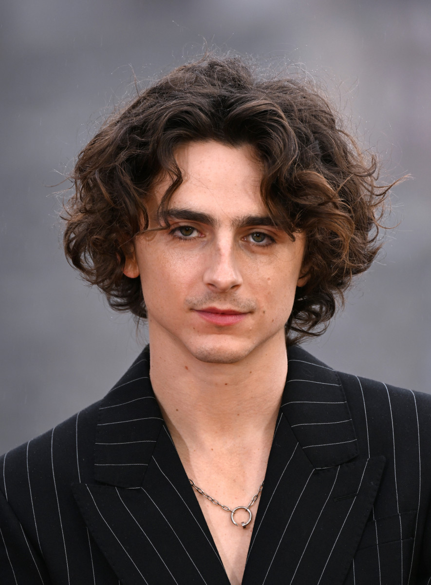 Timothee Chalamet: pic #1339535