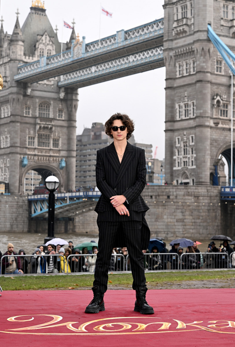 Timothee Chalamet: pic #1339534