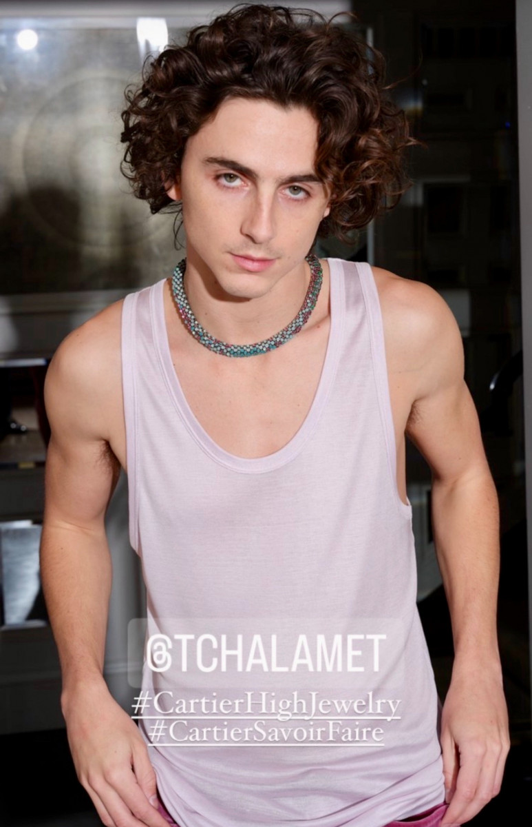 Timothee Chalamet: pic #1339577