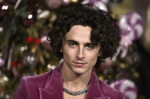 photo 27 in Chalamet gallery [id1342211] 2024-01-26