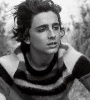 Timothee Chalamet photo #