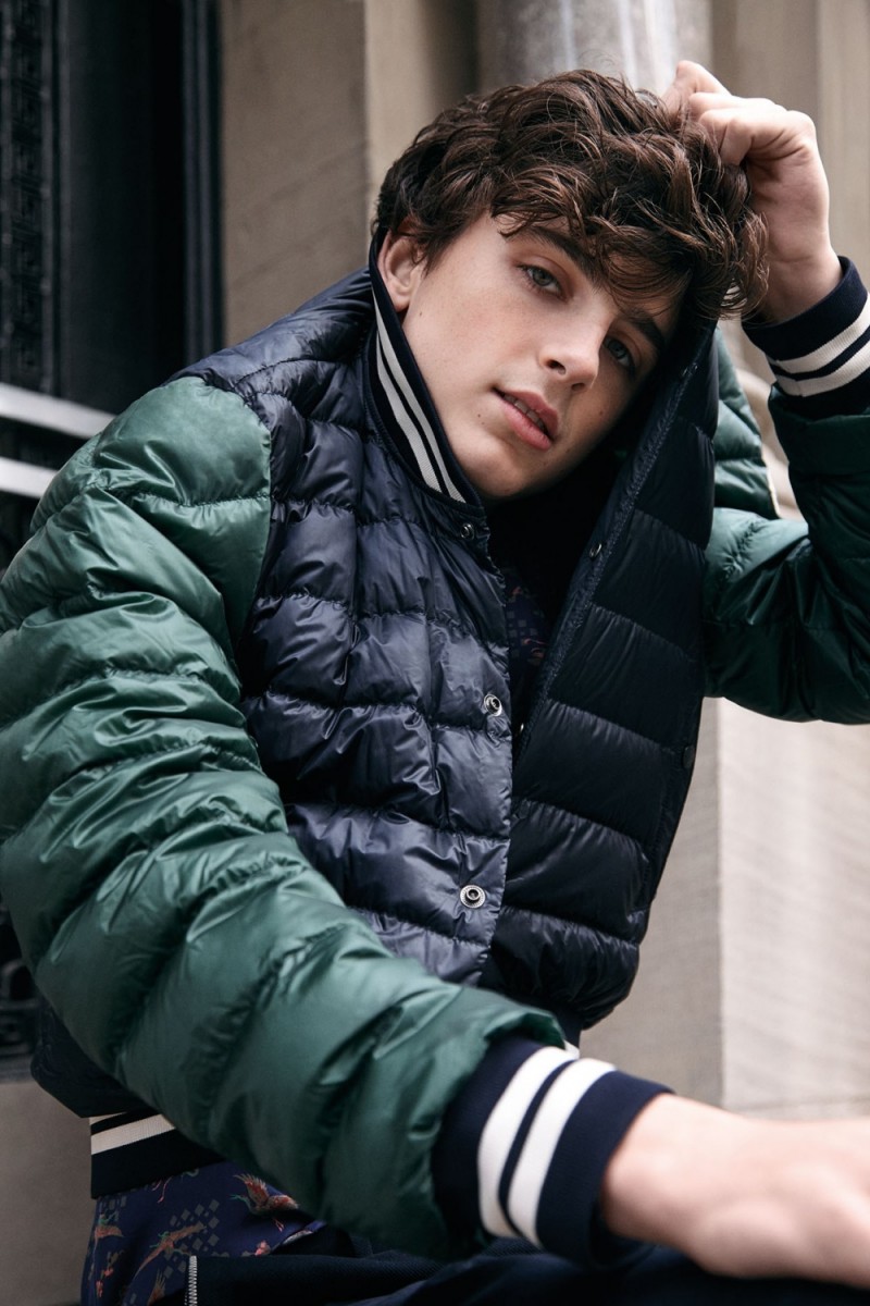 Timothee Chalamet: pic #974696