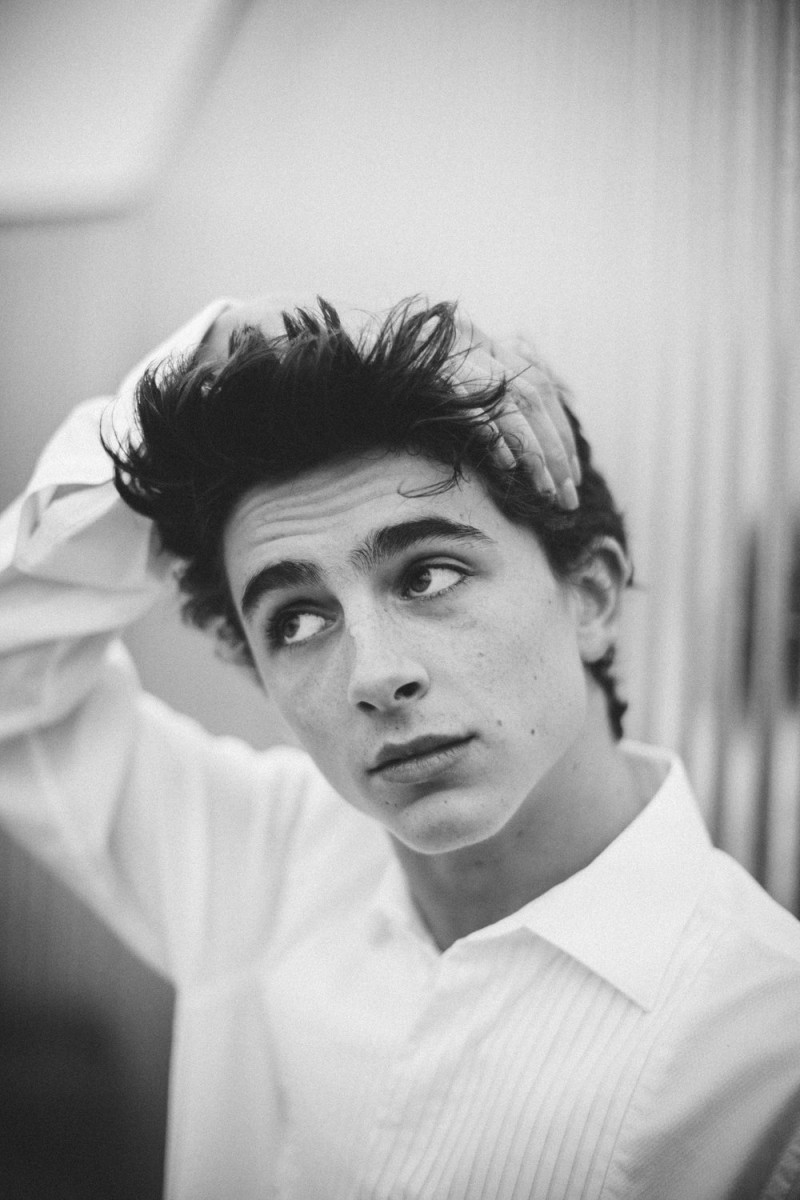 Timothee Chalamet: pic #975205