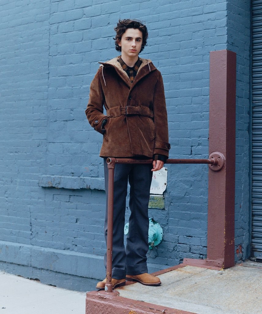 Timothee Chalamet: pic #975207