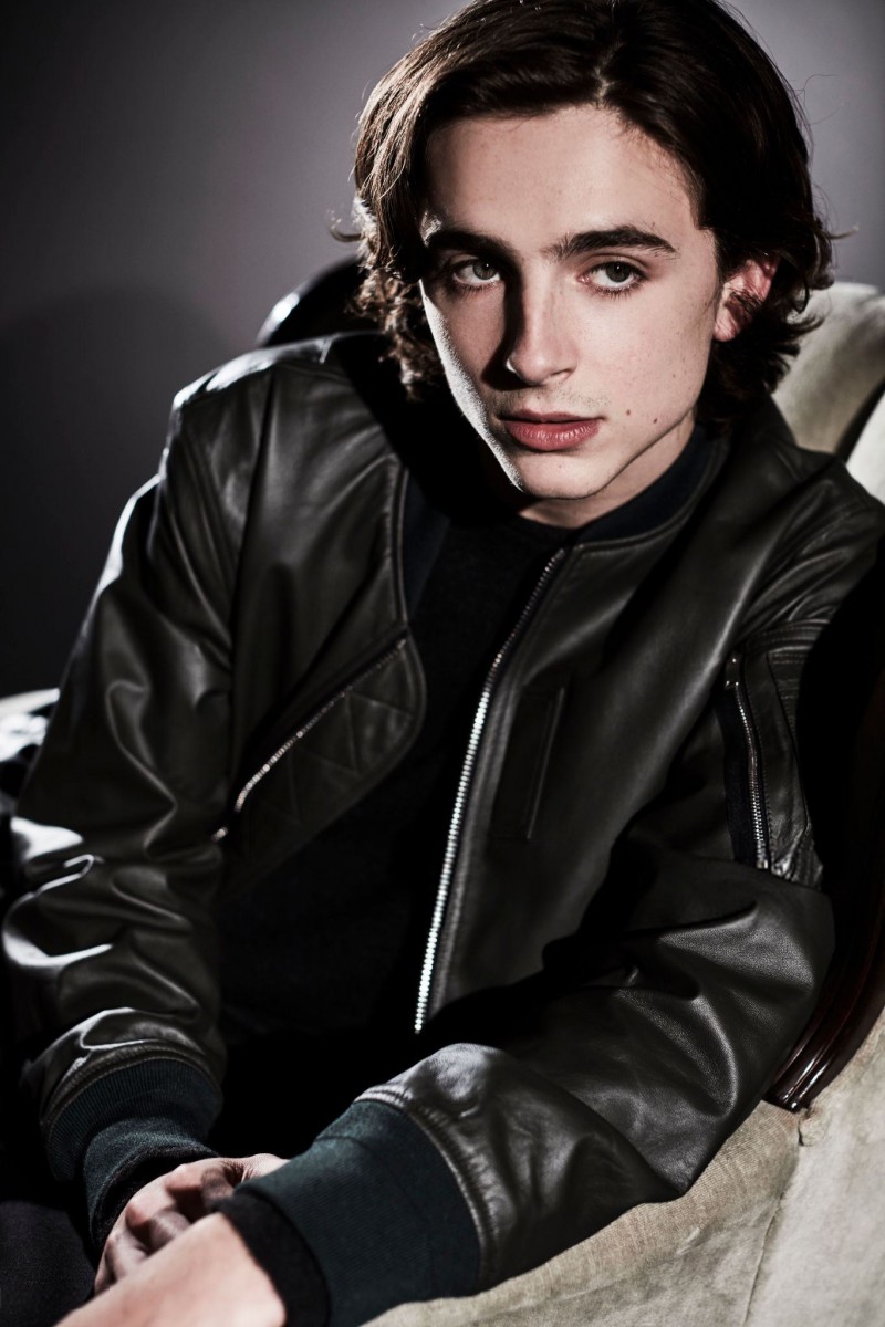 Timothee Chalamet: pic #978019