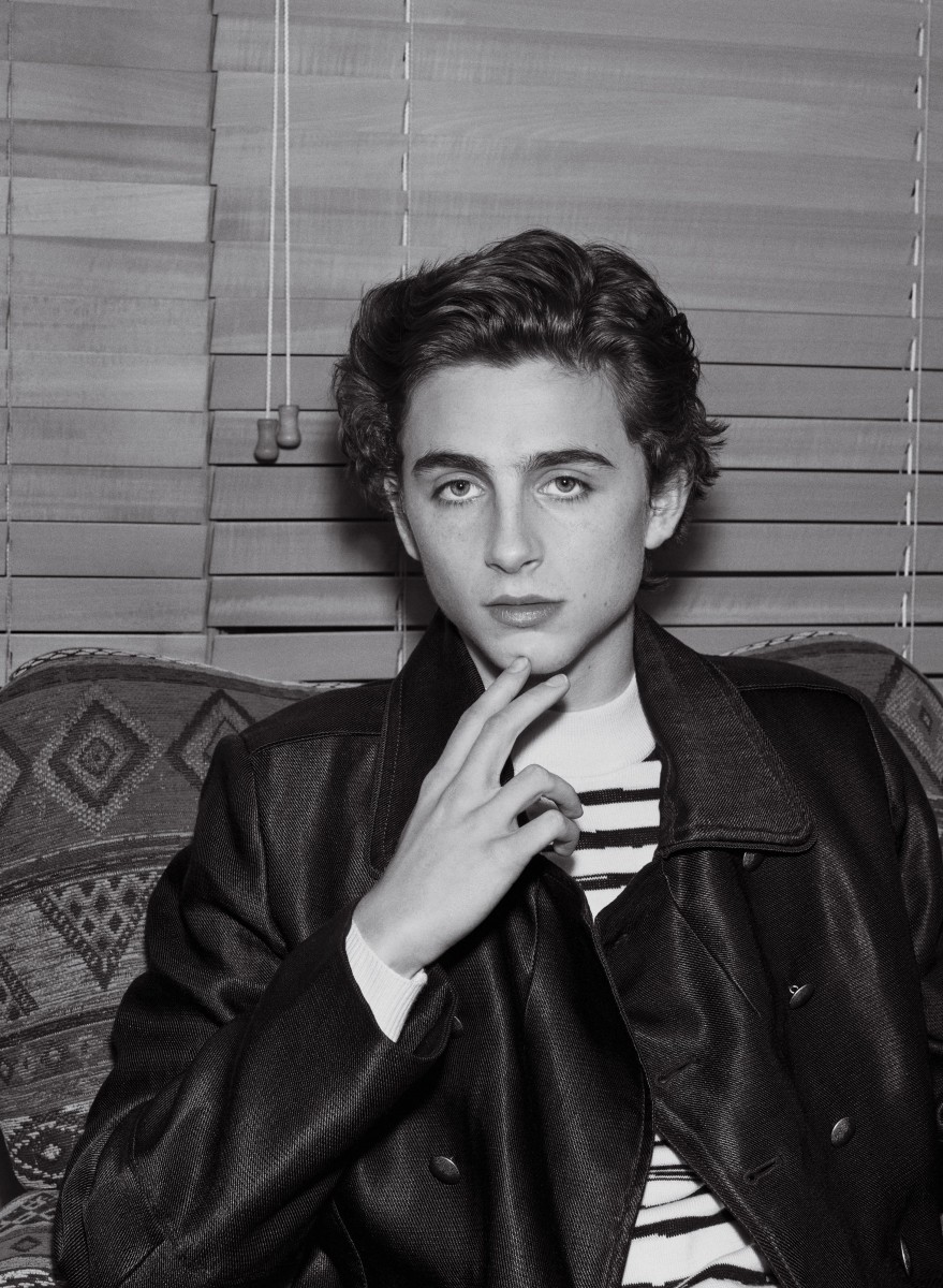 Timothee Chalamet: pic #975200