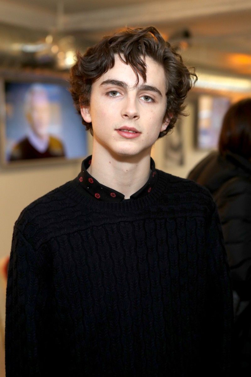 Timothee Chalamet: pic #975208