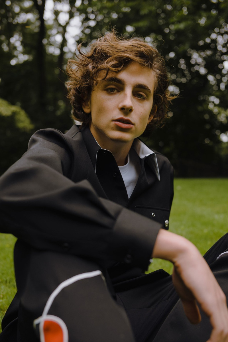 Timothee Chalamet: pic #975190