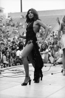 Tina Turner photo #