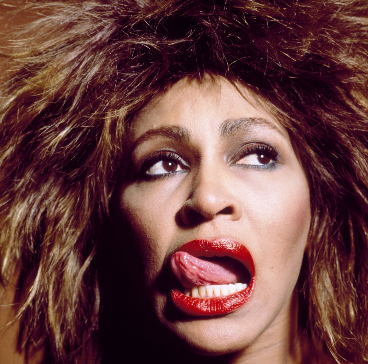 Tina Turner: pic #308140