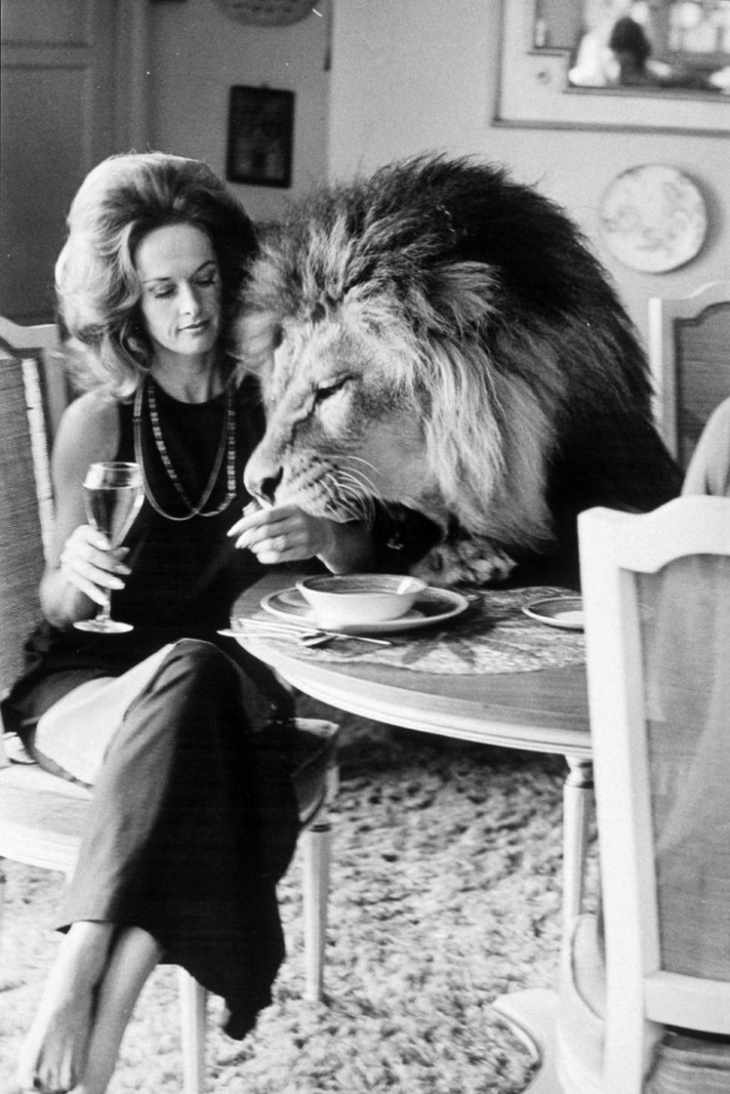 Tippi Hedren: pic #1310189