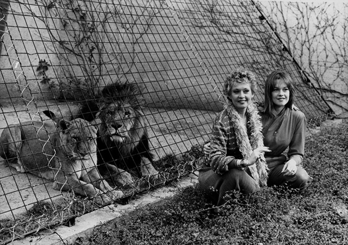 Tippi Hedren: pic #1310171