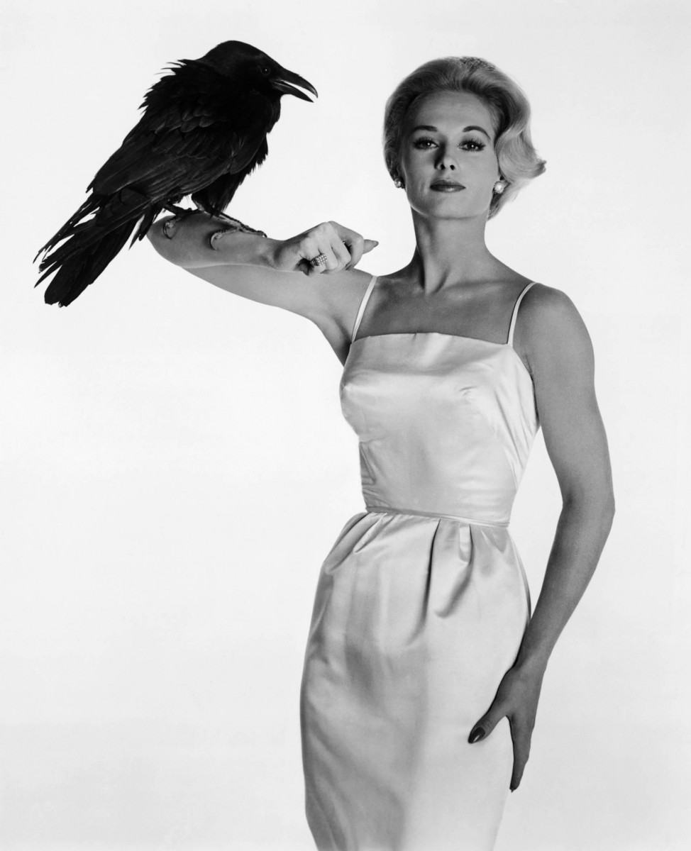 Tippi Hedren: pic #1310196