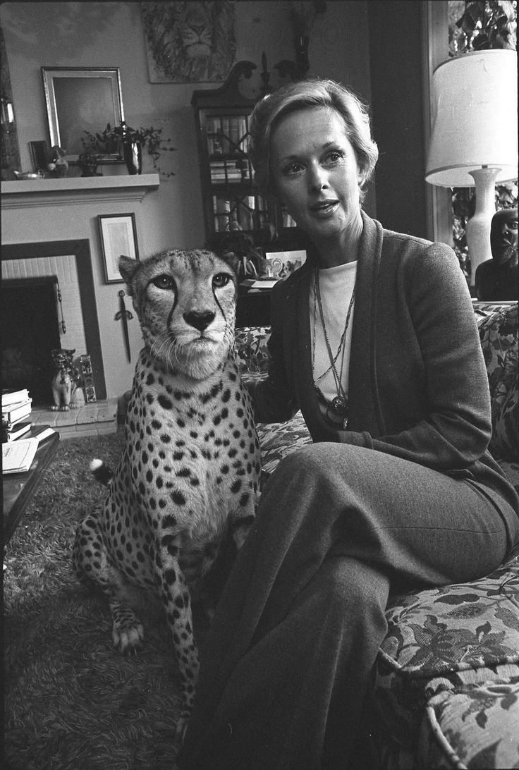 Tippi Hedren: pic #1310192