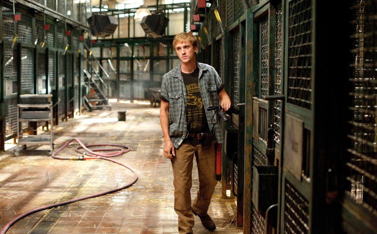 Tom Felton: pic #586047