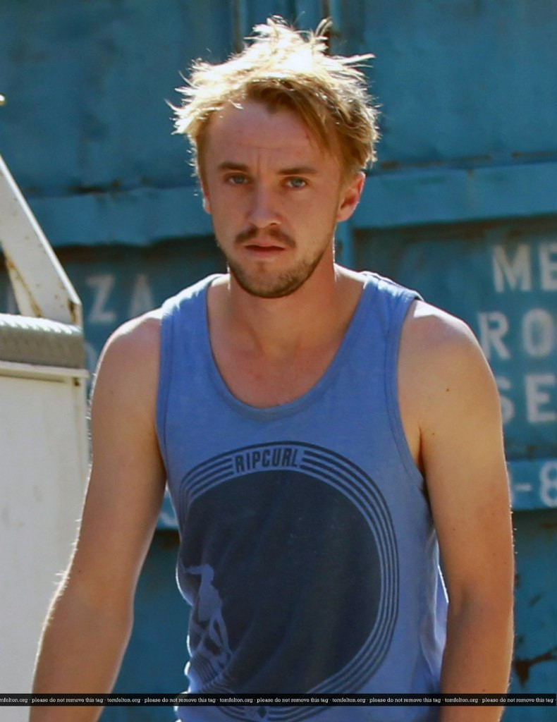 Tom Felton: pic #707935