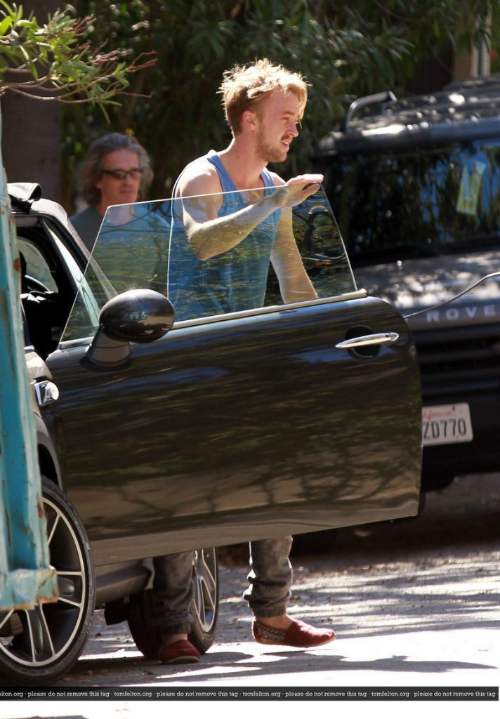 Tom Felton: pic #707936