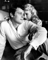 Tony Curtis photo #