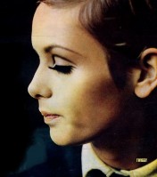 Twiggy photo #